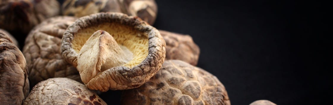 Extraordinary Benefits of Shiitake Mushroom